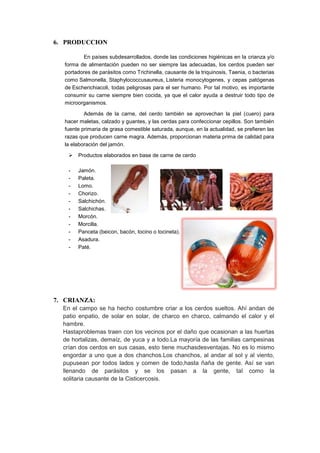 6. PRODUCCION

         En países subdesarrollados, donde las condiciones higiénicas en la crianza y/o
  forma de alimentación pueden no ser siempre las adecuadas, los cerdos pueden ser
  portadores de parásitos como Trichinella, causante de la triquinosis, Taenia, o bacterias
  como Salmonella, Staphylococcusaureus, Listeria monocytogenes, y cepas patógenas
  de Escherichiacoli, todas peligrosas para el ser humano. Por tal motivo, es importante
  consumir su carne siempre bien cocida, ya que el calor ayuda a destruir todo tipo de
  microorganismos.

          Además de la carne, del cerdo también se aprovechan la piel (cuero) para
  hacer maletas, calzado y guantes, y las cerdas para confeccionar cepillos. Son también
  fuente primaria de grasa comestible saturada, aunque, en la actualidad, se prefieren las
  razas que producen carne magra. Además, proporcionan materia prima de calidad para
  la elaboración del jamón.

       Productos elaborados en base de carne de cerdo

    -   Jamón.
    -   Paleta.
    -   Lomo.
    -   Chorizo.
    -   Salchichón.
    -   Salchichas.
    -   Morcón.
    -   Morcilla.
    -   Panceta (beicon, bacón, tocino o tocineta).
    -   Asadura.
    -   Paté.




7. CRIANZA:
  En el campo se ha hecho costumbre criar a los cerdos sueltos. Ahí andan de
  patio enpatio, de solar en solar, de charco en charco, calmando el calor y el
  hambre.
  Hastaproblemas traen con los vecinos por el daño que ocasionan a las huertas
  de hortalizas, demaíz, de yuca y a todo.La mayoría de las familias campesinas
  crían dos cerdos en sus casas, esto tiene muchasdesventajas. No es lo mismo
  engordar a uno que a dos chanchos.Los chanchos, al andar al sol y al viento,
  pupusean por todos lados y comen de todo,hasta ñaña de gente. Así se van
  llenando de parásitos y se los pasan a la gente, tal como la
  solitaria causante de la Cisticercosis.
 