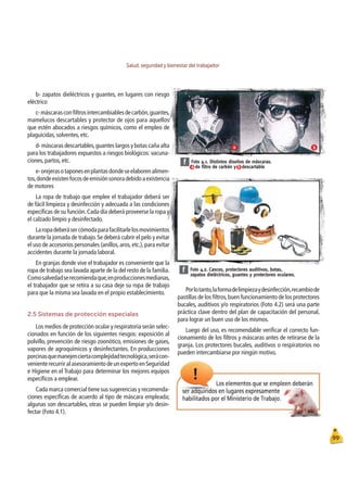 Salud, seguridad y bienestar del trabajador
99
Foto 4.1. Distintos diseños de máscaras.
de filtro de carbón y descartable
a b
f
a b
Foto 4.2. Cascos, protectores auditivos, botas,
zapatos dieléctricos, guantes y protectores oculares.
f
b- zapatos dieléctricos y guantes, en lugares con riesgo
eléctrico
c-máscarasconﬁltrosintercambiablesdecarbón,guantes,
mamelucos descartables y protector de ojos para aquellos
que estén abocados a riesgos químicos, como el empleo de
plaguicidas, solventes, etc.
d- máscaras descartables,guantes largos y botas caña alta
para los trabajadores expuestos a riesgos biológicos: vacuna-
ciones, partos, etc.
e-orejerasotaponesenplantasdondeseelaborenalimen-
tos,dondeexistenfocosdeemisiónsonoradebidoaexistencia
de motores
La ropa de trabajo que emplee el trabajador deberá ser
de fácil limpieza y desinfección y adecuada a las condiciones
especíﬁcas de su función.Cada día deberá proveerse la ropa y
el calzado limpio y desinfectado.
Laropadeberásercómodaparafacilitarlelosmovimientos
durante la jornada de trabajo.Se deberá cubrir el pelo y evitar
el uso de accesorios personales (anillos,aros,etc.),para evitar
accidentes durante la jornada laboral.
En granjas donde vive el trabajador es conveniente que la
ropa de trabajo sea lavada aparte de la del resto de la familia.
Comosalvedadserecomiendaque,enproduccionesmedianas,
el trabajador que se retira a su casa deje su ropa de trabajo
para que la misma sea lavada en el propio establecimiento.
2.5 Sistemas de protección especiales
Los medios de protección ocular y respiratoria serán selec-
cionados en función de los siguientes riesgos: exposición al
polvillo, prevención de riesgo zoonótico, emisiones de gases,
vapores de agroquímicos y desinfectantes. En producciones
porcinasquemanejenciertacomplejidadtecnológica,serácon-
venienterecurriralasesoramientodeunexpertoenSeguridad
e Higiene en el Trabajo para determinar los mejores equipos
especíﬁcos a emplear.
Cada marca comercial tiene sus sugerencias y recomenda-
ciones especíﬁcas de acuerdo al tipo de máscara empleada;
algunas son descartables, otras se pueden limpiar y/o desin-
fectar (Foto 4.1).
Porlotanto,laformadelimpiezaydesinfección,recambiode
pastillas de los ﬁltros,buen funcionamiento de los protectores
bucales, auditivos y/o respiratorios (Foto 4.2) será una parte
práctica clave dentro del plan de capacitación del personal,
para lograr un buen uso de los mismos.
Luego del uso, es recomendable veriﬁcar el correcto fun-
cionamiento de los ﬁltros y máscaras antes de retirarse de la
granja. Los protectores bucales, auditivos o respiratorios no
pueden intercambiarse por ningún motivo.
 