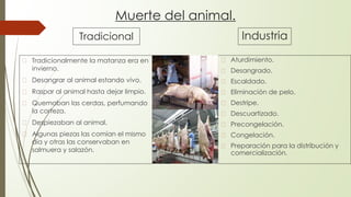 Muerte del animal.
Tradicional
� Tradicionalmente la matanza era en
invierno.
� Desangrar al animal estando vivo.
� Raspar al animal hasta dejar limpio.
� Quemaban las cerdas, perfumando
la corteza.
� Despiezaban al animal.
� Algunas piezas las comían el mismo
día y otras las conservaban en
salmuera y salazón.
Industria
� Aturdimiento.
� Desangrado.
� Escaldado.
� Eliminación de pelo.
� Destripe.
� Descuartizado.
� Precongelación.
� Congelación.
� Preparación para la distribución y
comercialización.
 