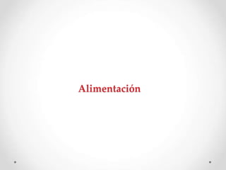 Alimentación
 