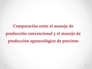 Comparación entre el manejo de
producción convencional y el manejo de
producción agroecológico de porcinos
 