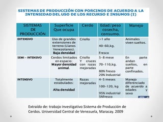 Extraído de: trabajo investigativo Sistema de Producción de
Cerdos. Universidad Central de Venezuela, Maracay. 2009
 