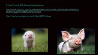 C:UsersSALA 208Desktopporcinos.doc
http://www.sagarpa.gob.mx/desarrolloRural/Documents/fichasaapt/Sistema%20d
e%20producci%C3%B3n%20Porcina.pdf
https://www.youtube.com/watch?v=G0EG9dltt6A
 