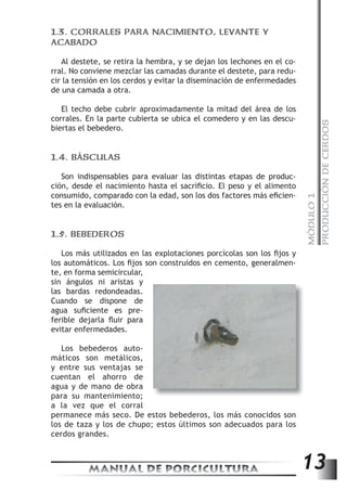 MÓDULO 1 
PRODUCCIÓN DE CERDOS 
1.3. CORRALES PARA NACIMIENTO, LEVANTE Y 
ACABADO 
Al destete, se retira la hembra, y se dejan los lechones en el co-rral. 
No conviene mezclar las camadas durante el destete, para redu-cir 
la tensión en los cerdos y evitar la diseminación de enfermedades 
de una camada a otra. 
El techo debe cubrir aproximadamente la mitad del área de los 
corrales. En la parte cubierta se ubica el comedero y en las descu-biertas 
el bebedero. 
1.4. BÁSCULAS 
Son indispensables para evaluar las distintas etapas de produc-ción, 
desde el nacimiento hasta el sacrifi cio. El peso y el alimento 
consumido, comparado con la edad, son los dos factores más efi cien-tes 
en la evaluación. 
1.5. BEBEDEROS 
Los más utilizados en las explotaciones porcícolas son los fi jos y 
los automáticos. Los fi jos son construidos en cemento, generalmen-te, 
en forma semicircular, 
sin ángulos ni aristas y 
las bardas redondeadas. 
Cuando se dispone de 
agua sufi ciente es pre-ferible 
dejarla fl uir para 
evitar enfermedades. 
Los bebederos auto-máticos 
son metálicos, 
y entre sus ventajas se 
cuentan el ahorro de 
agua y de mano de obra 
para su mantenimiento; 
a la vez que el corral 
permanece más seco. De estos bebederos, los más conocidos son 
los de taza y los de chupo; estos últimos son adecuados para los 
cerdos grandes. 
MANUAL DE PORCICULTURA 13 
 