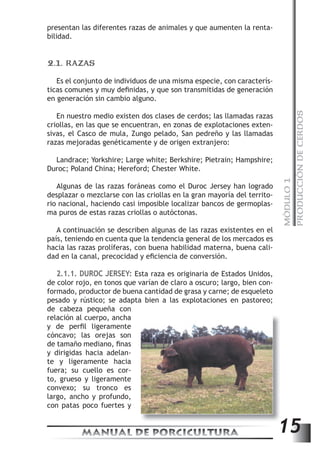 MÓDULO 1 
PRODUCCIÓN DE CERDOS 
presentan las diferentes razas de animales y que aumenten la renta-bilidad. 
2.1. RAZAS 
Es el conjunto de individuos de una misma especie, con caracterís-ticas 
comunes y muy defi nidas, y que son transmitidas de generación 
en generación sin cambio alguno. 
En nuestro medio existen dos clases de cerdos; las llamadas razas 
criollas, en las que se encuentran, en zonas de explotaciones exten-sivas, 
el Casco de mula, Zungo pelado, San pedreño y las llamadas 
razas mejoradas genéticamente y de origen extranjero: 
Landrace; Yorkshire; Large white; Berkshire; Pietrain; Hampshire; 
Duroc; Poland China; Hereford; Chester White. 
Algunas de las razas foráneas como el Duroc Jersey han logrado 
desplazar o mezclarse con las criollas en la gran mayoría del territo-rio 
nacional, haciendo casi imposible localizar bancos de germoplas-ma 
puros de estas razas criollas o autóctonas. 
A continuación se describen algunas de las razas existentes en el 
país, teniendo en cuenta que la tendencia general de los mercados es 
hacia las razas prolíferas, con buena habilidad materna, buena cali-dad 
en la canal, precocidad y efi ciencia de conversión. 
2.1.1. DUROC JERSEY: Esta raza es originaria de Estados Unidos, 
de color rojo, en tonos que varían de claro a oscuro; largo, bien con-formado, 
productor de buena cantidad de grasa y carne; de esqueleto 
pesado y rústico; se adapta bien a las explotaciones en pastoreo; 
de cabeza pequeña con 
relación al cuerpo, ancha 
y de perfi l ligeramente 
cóncavo; las orejas son 
de tamaño mediano, fi nas 
y dirigidas hacia adelan-te 
y ligeramente hacia 
fuera; su cuello es cor-to, 
grueso y ligeramente 
convexo; su tronco es 
largo, ancho y profundo, 
con patas poco fuertes y 
MANUAL DE PORCICULTURA 15 
 