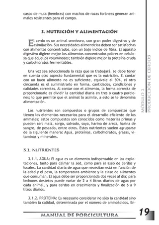 MÓDULO 1 
PRODUCCIÓN DE CERDOS 
casco de mula (hembras) con machos de razas foráneas generan ani-males 
resistentes para el campo. 
3. NUTRICIÓN Y ALIMENTACIÓN 
El cerdo es un animal omnívoro, con gran poder digestivo y de 
asimilación. Sus necesidades alimenticias deben ser satisfechas 
con alimentos concentrados, con un bajo índice de fibra. El aparato 
digestivo digiere mejor los alimentos concentrados pobres en celulo-sa 
que aquellos voluminosos; también digiere mejor la proteína cruda 
y carbohidratos fermentables. 
Una vez sea seleccionada la raza que se trabajará, se debe tener 
en cuenta otro aspecto fundamental que es la nutrición. El contar 
con un buen alimento no es suficiente, equivale al 50%, el otro 
cincuenta es el suministrarlo en forma, cantidades, condiciones y 
calidades correctas. Al contar con el alimento, la forma correcta de 
proporcionarlo es dividir la cantidad diaria en tres o cuatro porcio-nes; 
lo que permite que el animal lo asimile, a esto se le denomina 
alimentación. 
Los nutrientes son compuestos o grupos de compuestos que 
tienen los elementos necesarios para el desarrollo eficiente de los 
animales; estos compuestos son conocidos como materias primas y 
pueden ser: maíz, sorgo, salvado, soya, harina de arroz, harina de 
sangre, de pescado, entre otros. Estos nutrientes suelen agruparse 
de la siguiente manera: Agua, proteínas, carbohidratos, grasas, vi-taminas 
y minerales. 
3.1. NUTRIENTES 
3.1.1. AGUA: El agua es un elemento indispensable en las explo-taciones, 
tanto para calmar la sed, como para el aseo de cerdos y 
locales. La cantidad diaria de agua que necesitan está en función de 
la edad y el peso, la temperatura ambiente y la clase de alimentos 
que consuman. El agua debe ser proporcionada dos veces al día; para 
lechones destetos puede variar de 2 a 4 litros diarios de agua por 
cada animal, y para cerdos en crecimiento y finalización de 6 a 9 
litros diarios. 
3.1.2. PROTEÍNA: Es necesario considerar no sólo la cantidad sino 
también la calidad, determinada por el número de aminoácidos. En- 
MANUAL DE PORCICULTURA 19 
 