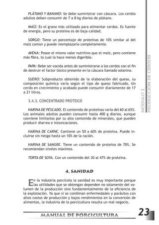 MÓDULO 1 
PRODUCCIÓN DE CERDOS 
PLÁTANO Y BANANO: Se debe suministrar con cáscara. Los cerdos 
adultos deben consumir de 7 a 8 kg diarios de plátano. 
MAÍZ: Es el grano más utilizado para alimentar cerdos. Es fuente 
de energía, pero su proteína es de baja calidad. 
SORGO: Tiene un porcentaje de proteínas de 10% similar al del 
maíz común y puede reemplazarlo completamente. 
AVENA: Posee el mismo valor nutritivo que el maíz, pero contiene 
más fibra, lo cual la hace menos digerible. 
PAPA: Debe ser cocida antes de suministrarse a los cerdos con el fin 
de destruir el factor tóxico presente en la cáscara llamado solanina. 
SUERO: Subproducto obtenido de la elaboración del queso, su 
composición química varía según el tipo de queso fabricado. Un 
cerdo en crecimiento y acabado puede consumir diariamente de 17 
a 21 litros. 
3.4.3. CONCENTRADO PROTEICO 
HARINA DE PESCADO. El contenido de proteínas varía del 60 al 65%. 
Los animales adultos pueden consumir hasta 400 g diarios, aunque 
conviene limitarlos por su alto contenido de minerales, que pueden 
producir diarrea e intoxicaciones. 
HARINA DE CARNE. Contiene un 50 a 60% de proteína. Puede in-cluirse 
sin riesgo hasta un 10% de la ración. 
HARINA DE SANGRE. Tiene un contenido de proteína de 70%. Se 
recomiendan niveles máximos. 
TORTA DE SOYA. Con un contenido del 30 al 47% de proteína. 
4. SANIDAD 
En la industria porcícola la sanidad es muy importante porque 
las utilidades que se obtengan dependen no solamente del vo-lumen 
de la producción sino fundamentalmente de la eficiencia de 
la explotación. Ya que si se combinan enfermedades y parásitos con 
altos costos de producción y bajos rendimientos en la conversión de 
alimentos, la industria de la porcicultura resulta un mal negocio. 
MANUAL DE PORCICULTURA 23 
 