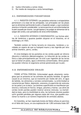 MÓDULO 1 
PRODUCCIÓN DE CERDOS 
e) Suelos infectados y camas viejas. 
f) Por medio de mosquitos u otros hematófagos. 
4.1. ENFERMEDADES PARASITARIAS 
4.1.1. PARÁSITOS EXTERNOS: Los parásitos externos o ectoparásitos 
pertenecen a la clase de los artrópodos. Los principales son los piojos 
que se alimentan perforando la piel y chupando sangre, y que ocasionan 
anemia e irritación considerable. La sarna porcina es una enfermedad de 
la piel causada por ácaros. Las garrapatas y las pulgas se alimentan de la 
sangre del cerdo y son portadoras de otras enfermedades. 
4.1.2. PARÁSITOS INTERNOS O ENDOPARÁSITOS: Las formas adul-tas 
de lombrices y gusanos pueden alojarse en el intestino, en el 
estómago y el riñón. 
También existen en forma larvaria en músculos, tendones y ca-vidades 
en espera de que su huésped muera y sea ingerido por otro 
animal (hombre, perro, cerdo). 
El ciclo biológico de los parásitos en los cerdos puede ser directo 
(Áscaris) o indirecto (Metastrongylus). La infección de los cerdos se 
lleva a cabo principalmente por vía oral o por ingestión de las larvas 
que se hallan en pasto, agua o alimentos contaminados. Otros parási-tos 
pueden infectar el organismo animal penetrando por la piel. 
4.2. ENFERMEDADES VIRALES 
FIEBRE AFTOSA PORCINA: Enfermedad aguda altamente conta-giosa 
que se presenta en los animales de pezuña hendida. El agente 
causal es un rinovirus, que se transmite por medio del aire, el agua 
de bebida, los alimentos y corrales contaminados. La enfermedad se 
caracteriza por fiebre, depresión, anorexia y la aparición de vesículas 
en las patas y en la boca. Las lesiones superficiales se manifiestan por 
úlceras y vesículas en hocico, lengua, pezuñas y mamas. Las ubres de 
cerdas recién paridas pueden mostrar severas vesículas. La mortali-dad 
es baja, pero la morbilidad es alta, los lechones jóvenes pueden 
sufrir grandes pérdidas por algunas cepas del virus, que pueden oca-sionar 
la muerte a un número importante de animales adultos. 
En Colombia, se han reportado brotes de fiebre aftosa en porcinos 
en el Valle del Cauca, en una explotación de 1.093 animales hubo 307 
MANUAL DE PORCICULTURA 25 
 