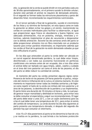 MÓDULO 1 
PRODUCCIÓN DE CERDOS 
ello. La gestación de la cerda se puede dividir en tres períodos cada uno 
de 38 días aproximadamente, en el primero sucede la división celular; 
durante este período el animal no requiere de demasiado alimento. 
En el segundo se forman todas las estructuras placentarias y parte del 
desarrollo fetal; incrementando los requerimientos nutricionales. 
En el tercer período o final de la gestación, sucede el crecimiento 
de los fetos y su término de formación; en esta época como en toda 
la gestación se deben evitar los golpes y el estrés; manteniendo las 
cerdas en corrales individuales para facilitar su observación, al igual 
que proporcionar agua fresca en abundancia y buena higiene; una 
adecuada alimentación, rica en proteína, energía, minerales y vi-taminas, 
además implementar el plan de vacunación y desparasitar 
con la debida antelación. Durante las dos semanas antes del parto se 
debe proporcionar alimento rico en fibra mezclado con un producto 
laxante para evitar parálisis intestinales; es importante además que 
las cerdas al final de la gestación no estén demasiado cebadas ya que 
esto dificultaría el parto. 
En los días que anteceden al parto la cerda debe ser ubicada en 
un corral especial denominado paridera, la cual debe estar limpia, 
desinfectada y con todos sus accesorios funcionando en perfectas 
condiciones una semana antes de ser ocupada; dos a tres días antes 
el animal debe ser bañado con agua limpia, jabón, cepillo y cuidado 
en el área del tren posterior así como el área de los pezones; el día 
del parto se debe reducir la cantidad de comida. 
Al momento del parto las cerdas presentan algunos signos como: 
Presencia de leche en los pezones (24 horas posterior al parto), relaja-ción 
del vientre e inflamación de la vulva y el sistema mamario. En este 
momento es importante tomar todas las medidas sanitarias y de higie-ne 
como repetir el baño de la cerda con énfasis del tren posterior y el 
área de los pezones, la desinfección de la paridera y sus implementos. 
El parto tiene una duración de 10 minutos a 6 horas y más, lo cual pue-de 
generar mayor mortalidad y debilidad en lechones, para evitar esto 
se debe consultar al especialista y seguir sus recomendaciones. El lugar 
del parto debe estar a unos 22°C, y con un cajón (lechonera) para las 
crías el cual debe tener una temperatura de 32°C, para evitar el estrés 
del cambio de temperatura. La cerda durante los dos días siguientes al 
parto presenta una temperatura elevada; si después del segundo día 
persiste hay que consultar al veterinario. 
A los 15 a 21 días posteriores al parto se les denomina la fase de cría 
y se realiza en la paridera, la cual brinda a los lechones protección 
MANUAL DE PORCICULTURA 29 
 