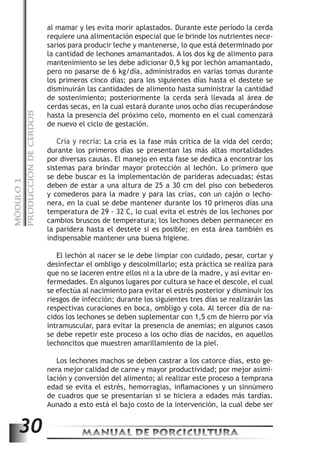 PRODUCCIÓN DE CERDOS 
al mamar y les evita morir aplastados. Durante este período la cerda 
requiere una alimentación especial que le brinde los nutrientes nece-sarios 
para producir leche y mantenerse, lo que está determinado por 
la cantidad de lechones amamantados. A los dos kg de alimento para 
mantenimiento se les debe adicionar 0,5 kg por lechón amamantado, 
pero no pasarse de 6 kg/día, administrados en varias tomas durante 
los primeros cinco días; para los siguientes días hasta el destete se 
disminuirán las cantidades de alimento hasta suministrar la cantidad 
de sostenimiento; posteriormente la cerda será llevada al área de 
cerdas secas, en la cual estará durante unos ocho días recuperándose 
hasta la presencia del próximo celo, momento en el cual comenzará 
de nuevo el ciclo de gestación. 
Cría y recría: La cría es la fase más crítica de la vida del cerdo; 
durante los primeros días se presentan las más altas mortalidades 
por diversas causas. El manejo en esta fase se dedica a encontrar los 
sistemas para brindar mayor protección al lechón. Lo primero que 
se debe buscar es la implementación de parideras adecuadas; éstas 
deben de estar a una altura de 25 a 30 cm del piso con bebederos 
y comederos para la madre y para las crías, con un cajón o lecho-nera, 
MANUAL DE PORCICULTURA 30 MÓDULO 1 
en la cual se debe mantener durante los 10 primeros días una 
temperatura de 29 - 32°C, lo cual evita el estrés de los lechones por 
cambios bruscos de temperatura; los lechones deben permanecer en 
la paridera hasta el destete si es posible; en esta área también es 
indispensable mantener una buena higiene. 
El lechón al nacer se le debe limpiar con cuidado, pesar, cortar y 
desinfectar el ombligo y descolmillarlo; esta práctica se realiza para 
que no se laceren entre ellos ni a la ubre de la madre, y así evitar en-fermedades. 
En algunos lugares por cultura se hace el descole, el cual 
se efectúa al nacimiento para evitar el estrés posterior y disminuir los 
riesgos de infección; durante los siguientes tres días se realizarán las 
respectivas curaciones en boca, ombligo y cola. Al tercer día de na-cidos 
los lechones se deben suplementar con 1,5 cm de hierro por vía 
intramuscular, para evitar la presencia de anemias; en algunos casos 
se debe repetir este proceso a los ocho días de nacidos, en aquellos 
lechoncitos que muestren amarillamiento de la piel. 
Los lechones machos se deben castrar a los catorce días, esto ge-nera 
mejor calidad de carne y mayor productividad; por mejor asimi-lación 
y conversión del alimento; al realizar este proceso a temprana 
edad se evita el estrés, hemorragias, inflamaciones y un sinnúmero 
de cuadros que se presentarían si se hiciera a edades más tardías. 
Aunado a esto está el bajo costo de la intervención, la cual debe ser 
 