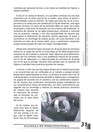 MÓDULO 1 
PRODUCCIÓN DE CERDOS 
realizada por personal técnico y con todas las medidas de higiene y 
asepsia posibles. 
El día 21 se realiza el destete, el cual debe comenzar los tres días 
anteriores con el retiro parcial de la madre, para evitar el estrés y 
enfermedades como la mastitis, de modo que este día no se le pro-porcione 
a la cerda sino una comida de 0,5 kg de alimento, más agua 
durante 24 horas. El retiro de los lechones debe ser total, los cuales 
se pesarán y marcarán de acuerdo con los criterios del productor. Al 
momento del destete se les debe proporcionar alimento a voluntad 
rico en proteína, energía y con alta palatabilidad de manera que 
reemplace la defi ciencia de alimento (leche) generada. El pesar y 
suministrar un vermífugo de amplia acción, así como distribuir a los 
lechones en lotes de la misma edad, sexo y condiciones corporales 
proporcionara grupos de ceba con mayor homogeneidad. 
Desde este momento hasta alcanzar los 35 kg de peso los lechones 
entran en la etapa de recría; en esta etapa se les debe proporcionar 
alimento de alta calidad y mantener bajo vigilancia para determinar 
cuáles son los animales cola o con problemas dentro de los grupos, 
con el fi n de separarlos e ir seleccionando los animales de acuerdo 
con el fi n que se persiga. Durante este período sólo se requiere de 
higiene y sanidad como prácticas grandes de manejo. 
Levante y ceba: Son las dos etapas fi nales de la industria porcícola 
y se caracterizan por ser unifi cadas en el manejo y porque existen 
productores especializados en ellas. La primera se ubica entre los 35 
a 60 kg de peso; al inicio de este período se deben pesar y reorganizar 
los grupos de acuerdo con el tamaño y con las condiciones corpora-les 
de manera que conformen nuevamente grupos homogéneos en 
sus características físicas de desarrollo, así como suministrarles por 
segunda vez un vermífugo y realizar las demás prácticas sanitarias 
de manera que durante 
el transcurso de levante 
sólo se estresen los ani-males 
con el aseo diario 
MANUAL DE PORCICULTURA 31 
del corral. 
Es de resaltar que du-rante 
esta fase se deben 
determinar espacios de 
1m2 por animal y en nin-gún 
caso se deben man-tener 
más de 20 animales 
 