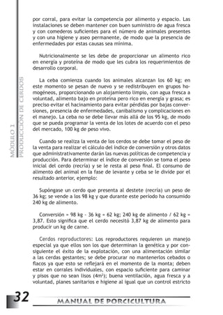PRODUCCIÓN DE CERDOS 
por corral, para evitar la competencia por alimento y espacio. Las 
instalaciones se deben mantener con buen suministro de agua fresca 
y con comederos suficientes para el número de animales presentes 
y con una higiene y aseo permanente, de modo que la presencia de 
enfermedades por estas causas sea mínima. 
Nutricionalmente se les debe de proporcionar un alimento rico 
en energía y proteína de modo que les cubra los requerimientos de 
desarrollo corporal. 
La ceba comienza cuando los animales alcanzan los 60 kg; en 
este momento se pesan de nuevo y se redistribuyen en grupos ho-mogéneos, 
proporcionando un alojamiento limpio, con agua fresca a 
voluntad, alimento bajo en proteína pero rico en energía y grasa; es 
preciso evitar el hacinamiento para evitar pérdidas por bajas conver-siones, 
presencia de enfermedades, canibalismo y complicaciones en 
el manejo. La ceba no se debe llevar más allá de los 95 kg, de modo 
que se pueda programar la venta de los lotes de acuerdo con el peso 
del mercado, 100 kg de peso vivo. 
MANUAL DE PORCICULTURA 32 MÓDULO 1 
Cuando se realiza la venta de los cerdos se debe tomar el peso de 
la venta para realizar el cálculo del índice de conversión y otros datos 
que administrativamente darán las nuevas políticas de competencia y 
producción. Para determinar el índice de conversión se toma el peso 
inicial del cerdo (recría) y se le resta al peso final. El consumo de 
alimento del animal en la fase de levante y ceba se le divide por el 
resultado anterior, ejemplo: 
Supóngase un cerdo que presenta al destete (recría) un peso de 
36 kg; se vende a los 98 kg y que durante este período ha consumido 
240 kg de alimento. 
Conversión = 98 kg - 36 kg = 62 kg; 240 kg de alimento / 62 kg = 
3,87. Esto significa que el cerdo necesitó 3,87 kg de alimento para 
producir un kg de carne. 
Cerdos reproductores: Los reproductores requieren un manejo 
especial ya que ellos son los que determinan la genética y por con-siguiente 
el éxito de la explotación, con una alimentación similar 
a las cerdas gestantes; se debe procurar no mantenerlos cebados o 
flacos ya que esto se reflejará en el momento de la monta; deben 
estar en corrales individuales, con espacio suficiente para caminar 
y pisos que no sean lisos (4m2); buena ventilación, agua fresca y a 
voluntad, planes sanitarios e higiene al igual que un control estricto 
 