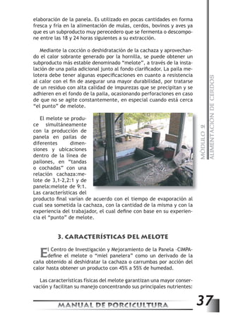 MÓDULO 2 
ALIMENTACIÓN DE CERDOS 
elaboración de la panela. Es utilizado en pocas cantidades en forma 
fresca y fría en la alimentación de mulas, cerdos, bovinos y aves ya 
que es un subproducto muy perecedero que se fermenta o descompo-ne 
entre las 18 y 24 horas siguientes a su extracción. 
Mediante la cocción o deshidratación de la cachaza y aprovechan-do 
el calor sobrante generado por la hornilla, se puede obtener un 
subproducto más estable denominado “melote”, a través de la insta-lación 
de una paila adicional junto al fondo clarifi cador. La paila me-lotera 
debe tener algunas especifi caciones en cuanto a resistencia 
al calor con el fi n de asegurar una mayor durabilidad, por tratarse 
de un residuo con alta calidad de impurezas que se precipitan y se 
adhieren en el fondo de la paila, ocasionando perforaciones en caso 
de que no se agite constantemente, en especial cuando está cerca 
“el punto” de melote. 
El melote se produ-ce 
simultáneamente 
con la producción de 
panela en pailas de 
diferentes dimen-siones 
y ubicaciones 
dentro de la línea de 
pailones, en “tandas 
o cochadas” con una 
relación cachaza:me-lote 
de 3,1-2,2:1 y de 
panela:melote de 9:1. 
Las características del 
producto fi nal varían de acuerdo con el tiempo de evaporación al 
cual sea sometida la cachaza, con la cantidad de la misma y con la 
experiencia del trabajador, el cual defi ne con base en su experien-cia 
el “punto” de melote. 
3. CARACTERÍSTICAS DEL MELOTE 
El Centro de Investigación y Mejoramiento de la Panela –CIMPA-defi 
ne el melote o “miel panelera” como un derivado de la 
caña obtenido al deshidratar la cachaza o carrumbas por acción del 
calor hasta obtener un producto con 45% a 55% de humedad. 
Las características físicas del melote garantizan una mayor conser-vación 
y facilitan su manejo concentrando sus principales nutrientes: 
MANUAL DE PORCICULTURA 37 
 