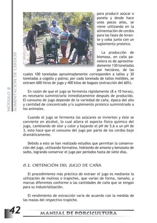 ALIMENTACIÓN DE CERDOS 
para producir azúcar o 
viene utilizando en la 
alimentación de cerdos 
La producción de 
cuales 100 toneladas aproximadamente corresponden a tallos y 30 
toneladas a cogollo y palma; por cada tonelada de tallos molibles, se 
extraen 600 litros de jugo y 400 kilos de bagazo (extracción del 60%). 
MANUAL DE PORCICULTURA 42 MÓDULO 2 
En razón de que el jugo se fermenta rápidamente (8 a 10 horas), 
es necesario suministrarlo inmediatamente después de producido. 
El consumo de jugo depende de la variedad de caña, época del año 
y cantidad de concentrado y/o suplemento proteico suministrado a 
los animales. 
Cuando el jugo se fermenta los azúcares se invierten y éste se 
convierte en alcohol, lo cual altera el aspecto físico químico del 
jugo, cambiando de olor y color y bajando el pH de 5,6 a un pH de 
3, esto hace que el consumo del jugo por parte de los cerdos baje 
dramáticamente. 
Debido a esto se han realizado estudios que permitan la conserva-ción 
del jugo, utilizando formalina, hidróxido de amonio y benzoato de 
sodio, logrando conservar el jugo por períodos hasta de siete días. 
6.1. OBTENCIÓN DEL JUGO DE CAÑA 
El procedimiento más práctico de extraer el jugo es mediante la 
utilización de molinos o trapiches, que varían de forma, tamaño, y 
marcas diferentes conforme a las cantidades de caña que se tengan 
para su industrialización. 
El rendimiento de extracción varía de acuerdo con la medida de 
las mazas del respectivo trapiche. 
panela y desde hace 
unos pocos años, se 
para las fases de levan-te 
y ceba junto con un 
suplemento proteico. 
biomasa, en caña pa-nelera 
es de aproxima-damente 
130 toneladas 
por hectárea, de las 
 
