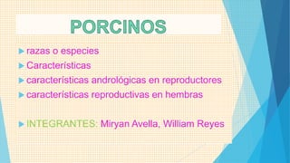  razas o especies
 Características
 características andrológicas en reproductores
 características reproductivas en hembras
 INTEGRANTES: Miryan Avella, William Reyes
 