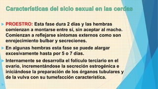 Proestro Porcinos | PPTX