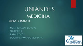 UNIANDES
NOMBRE: ALEXIS SANCHO
SEMESTRE: II
PARALELO: C
DOCTOR: ARMANDO QUINTANA
MEDICINA
ANATOMIA II
 