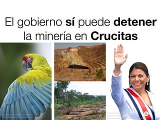 El gobierno sí puede detener
        la minería en Crucitas


                                         Minas de Riotinto - Huelva - Corta Atalaya




                                                                                      © Laura Chinchilla
Lapa Verde, Ara ambiguus. Costa Rica
                                                                                      http://www.flickr.com/photos/
© José Benito Ruiz / Cristobal Serrano   Crucitas
                                                                                      laurachinchilla/4688046093/in/photostream/
 