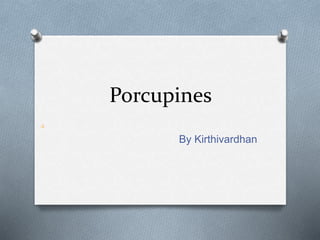 Porcupines
By Kirthivardhan
 