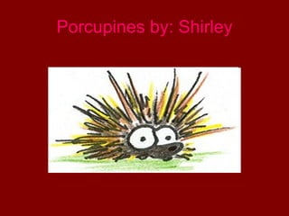 Porcupines by: Shirley 