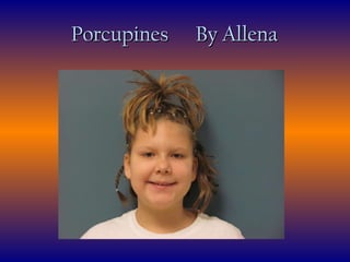 Porcupines  By Allena 