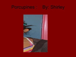 Porcupines :  By: Shirley 