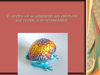 O cérebro vai se adaptando aos estímulosO cérebro vai se adaptando aos estímulos
que recebe, e às necessidades.que recebe, e às necessidades.
 