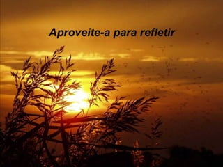 Aproveite-a para refletir 