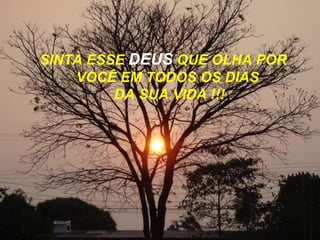 SINTA ESSE  DEUS  QUE OLHA POR  VOCÊ EM TODOS OS DIAS  DA SUA VIDA !!! 