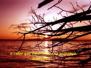 o calor que emana da sua presença tranquila... 