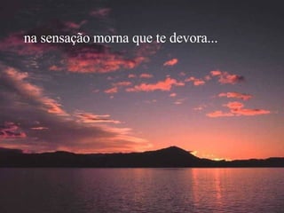 na sensação morna que te devora... 