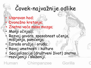 Čovek-najvažnije odlike
• Uspravan hod;
• Dvonožno kretanje;
• Znatno veća masa mozga;
• Manji očnjaci;
• Razvoj govora, sposobnost učenja,
mišljenja, pamćenja;
• Izrada oružja i oruđa;
• Ravoj umetnosti i kulture
• Socijalizacija (društveni život) znatno
razvijeniji i složeniji.
 