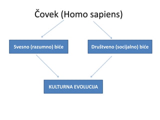 Čovek (Homo sapiens)
Svesno (razumno) biće Društveno (socijalno) biće
KULTURNA EVOLUCIJA
 