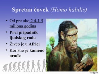 Spretan čovek (Homo habilis)
• Od pre oko 2.4-1.5
miliona godina
• Prvi pripadnik
ljudskog roda
• Živeo je u Africi
• Koristio je kameno
oruđe
 