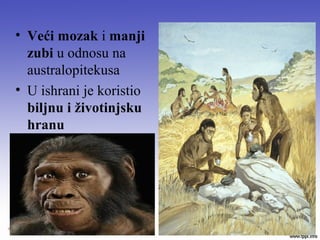 • Veći mozak i manji
zubi u odnosu na
australopitekusa
• U ishrani je koristio
biljnu i životinjsku
hranu
 
