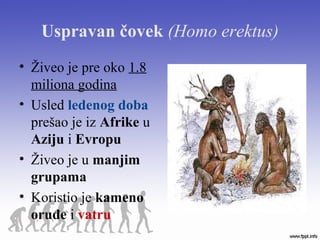 Uspravan čovek (Homo erektus)
• Živeo je pre oko 1.8
miliona godina
• Usled ledenog doba
prešao je iz Afrike u
Aziju i Evropu
• Živeo je u manjim
grupama
• Koristio je kameno
oruđe i vatru
 