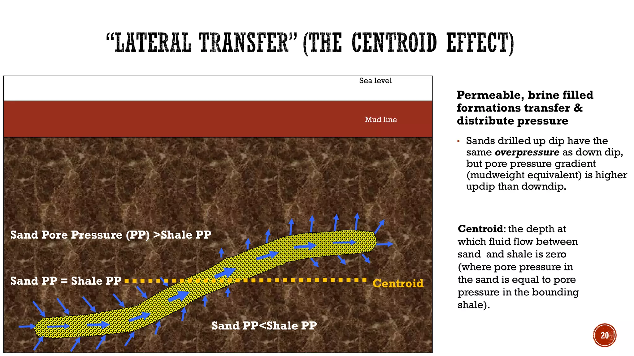 Permeable, brine filled
formations transfer &
distribute pressure
• Sands drilled up dip have the
same overpressure as down dip,
but pore pressure gradient
(mudweight equivalent) is higher
updip than downdip.
Centroid: the depth at
which fluid flow between
sand and shale is zero
(where pore pressure in
the sand is equal to pore
pressure in the bounding
shale).
Sea level
Mud line
Centroid
20
Sand Pore Pressure (PP) >Shale PP
Sand PP = Shale PP
Sand PP<Shale PP
 