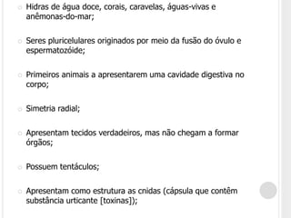  Hidras de água doce, corais, caravelas, águas-vivas e
anêmonas-do-mar;
 Seres pluricelulares originados por meio da fusão do óvulo e
espermatozóide;
 Primeiros animais a apresentarem uma cavidade digestiva no
corpo;
 Simetria radial;
 Apresentam tecidos verdadeiros, mas não chegam a formar
órgãos;
 Possuem tentáculos;
 Apresentam como estrutura as cnidas (cápsula que contêm
substância urticante [toxinas]);
 