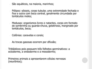 o São aquáticos, na maioria, marinhos;
o Pólipos: sésseis, corpo tubular, uma extremidade fechada e
fixa e outra com boca central, geralmente circundada por
tentáculos moles;
o Medusas: organismos livres e natantes, corpo em formato
de sombrinha ou guarda-chuva, gelatinoso, marginado por
tentáculos, boca;
o Colônias: caravelas e corais;
o As trocas gasosas ocorrem por difusão;
o Triblásticos pois possuem três folhetos germinativos: a
ectoderme, a endoderme e a mesoderme;
o Primeiros animais a apresentarem células nervosas
(neurônios);
 
