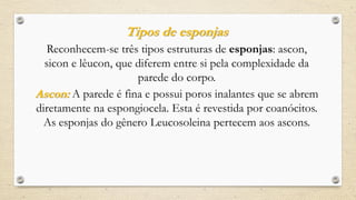 Tipos de esponjas
Reconhecem-se três tipos estruturas de esponjas: ascon,
sicon e lêucon, que diferem entre si pela complexidade da
parede do corpo.
Ascon: A parede é fina e possui poros inalantes que se abrem
diretamente na espongiocela. Esta é revestida por coanócitos.
As esponjas do gênero Leucosoleina pertecem aos ascons.
 
