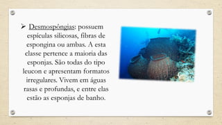  Desmospôngias: possuem
espículas silicosas, fibras de
espongina ou ambas. A esta
classe pertence a maioria das
esponjas. São todas do tipo
leucon e apresentam formatos
irregulares. Vivem em águas
rasas e profundas, e entre elas
estão as esponjas de banho.
 