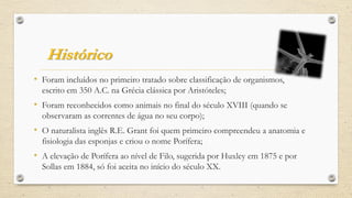 Histórico
• Foram incluídos no primeiro tratado sobre classificação de organismos,
escrito em 350 A.C. na Grécia clássica por Aristóteles;
• Foram reconhecidos como animais no final do século XVIII (quando se
observaram as correntes de água no seu corpo);
• O naturalista inglês R.E. Grant foi quem primeiro compreendeu a anatomia e
fisiologia das esponjas e criou o nome Porífera;
• A elevação de Porífera ao nível de Filo, sugerida por Huxley em 1875 e por
Sollas em 1884, só foi aceita no início do século XX.
 