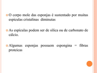  O corpo mole das esponjas é sustentado por muitas
espiculas cristalinas diminutas
 As espículas podem ser de sílica ou de carbonato de
cálcio.
 Algumas esponjas possuem espongina = fibras
proteicas
 
