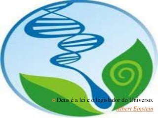  Deus é a lei e o legislador do Universo.
Albert Einstein
 