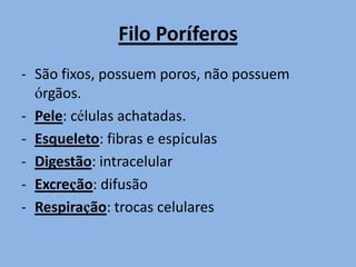 Filo PoríferosSão fixos, possuem poros, não possuem órgãos.