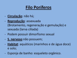 Pele: células achatadas.