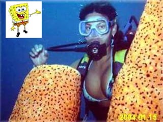 Excreção: difusão