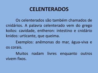 Reprodução: assexuada (Brotamento, regeneração e gemulação) e sexuada (larva ciliada)