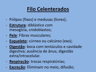	- Medusas: têm o corpo em foram que 	lembra um guarda-chuva. Seus tentáculo 	se distribuem ao longo da margem do 	corpo, no centro, em baixo, fica a boca 	(única abertura). Nadam livremente.
