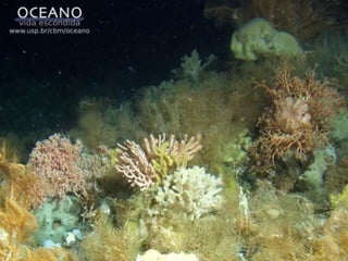 Habitat: aquáticos (marinhos e dulcícolas);